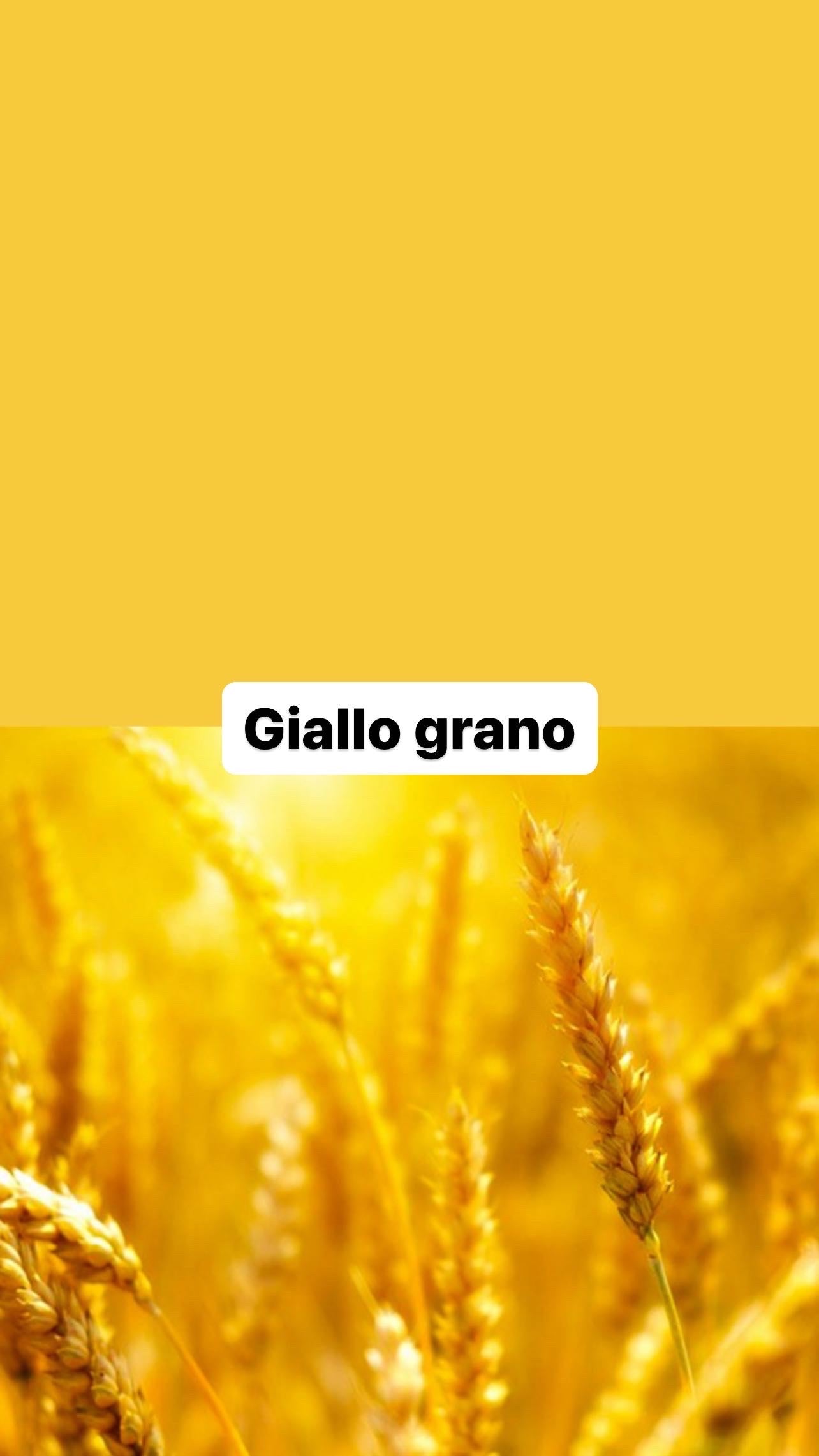 Triangolo+rampa Pikler