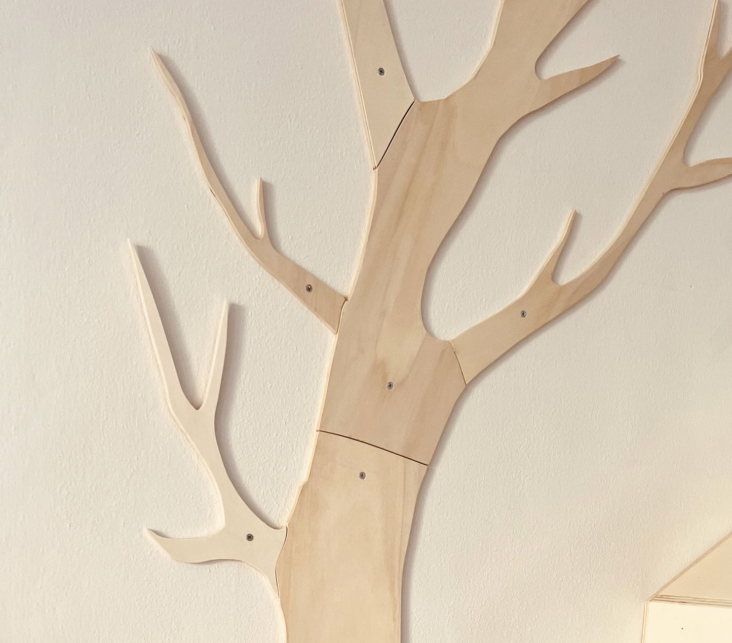 Albero delle stagioni