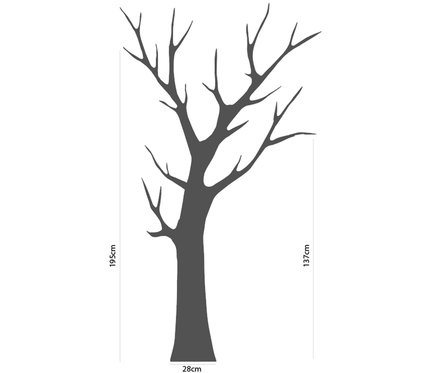 Albero delle stagioni