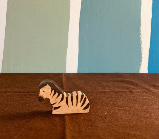 Puledro dizebra seduto